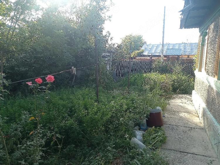 Casă cu Teren 919 Mp în Vădeni