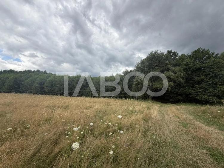 Teren extravilan 3650 mp latime 28 ml pretabil pentru cabana turistica - 2