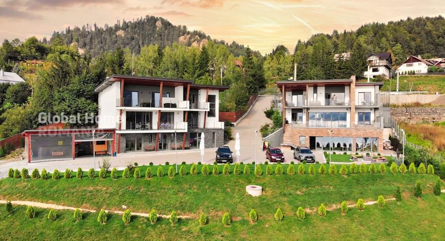 Casă individuală cu 10 camere cu Piscina în Colibița