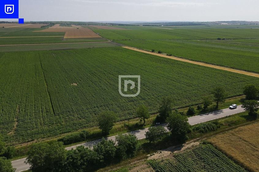 Teren agricol extravilan de 10000 mp, în Orășeni-Deal