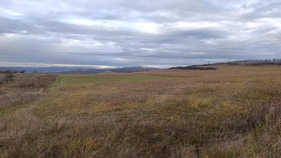 Teren de 20000 mp, în Saschiz