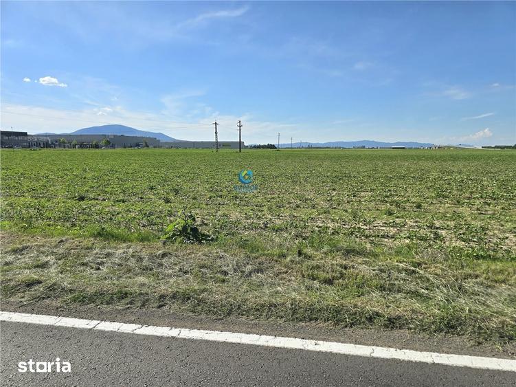 Teren de 18000 mp, în Central