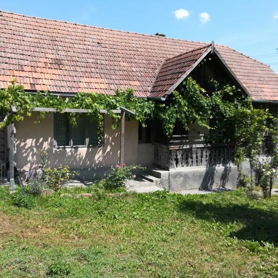 Casă cu 3 camere în Chiochiș