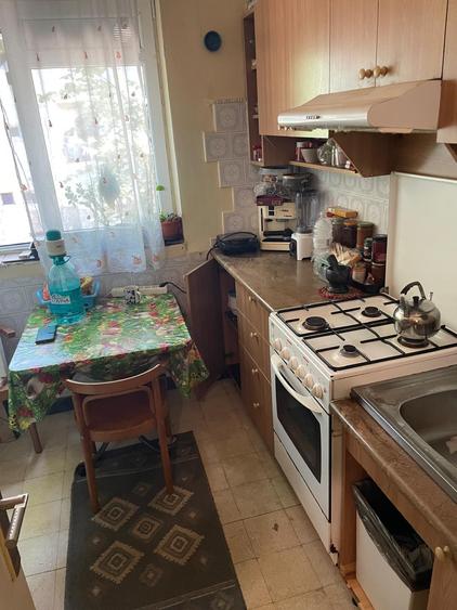 Apartament-3 camere,Domenii-bd Ion Mihalache - 9