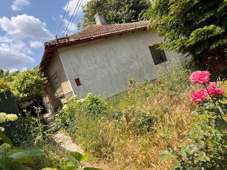 Teren de 431 mp, în Viile Noi