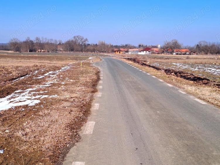 Teren de 3800 mp, în Păclișa