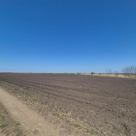 Teren în Grădiștea