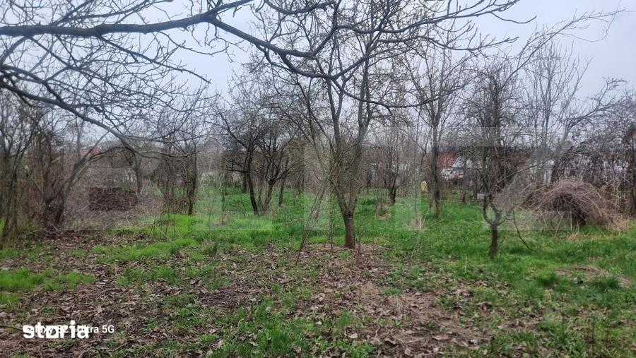 Casă cu 3 camere cu Teren 2058 Mp în Scorțeni