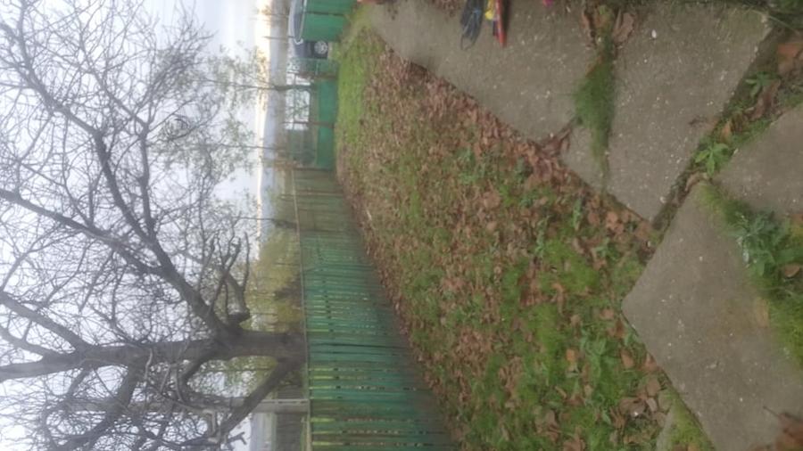 Casă cu Teren 1250 Mp în Mihail Kogălniceanu