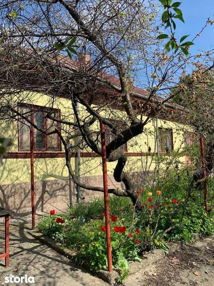 Casa in Pietroasele Buzau - 4
