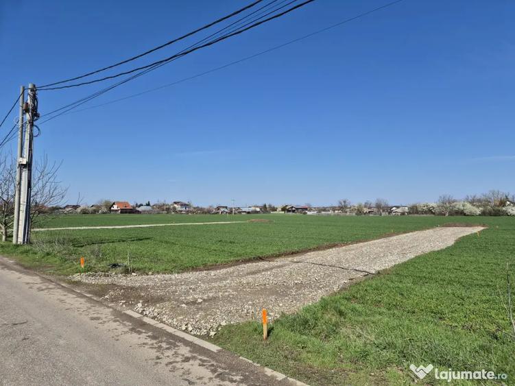 Teren de 530 mp, în Ciofliceni