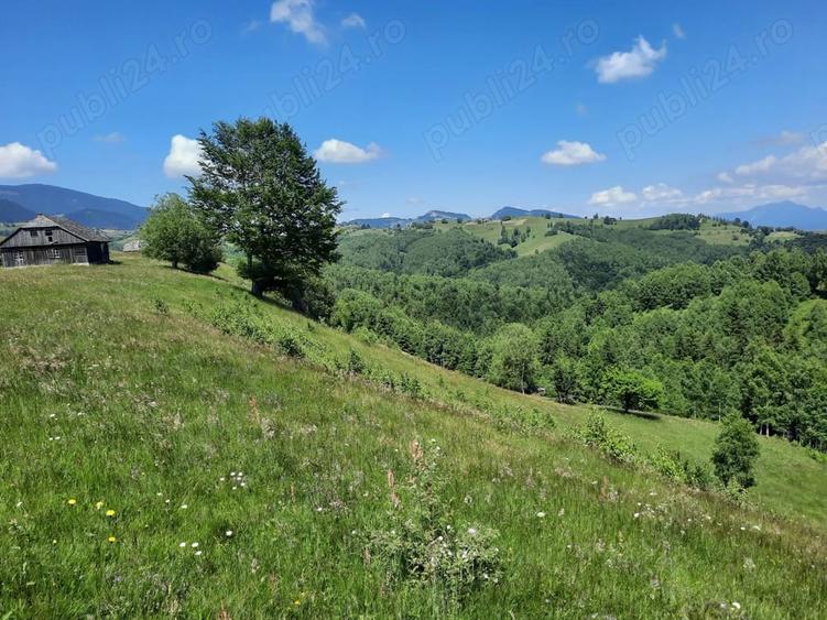 Teren de 40000 mp, în Șirnea