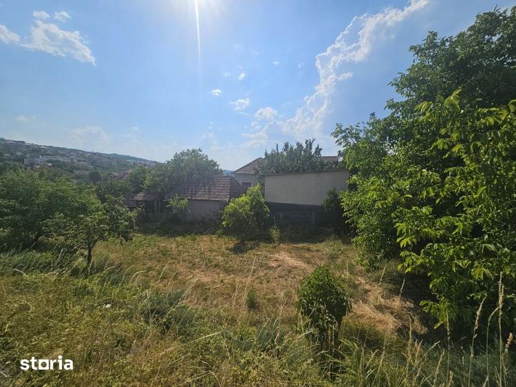 Teren de 1000 mp, în Borhanci
