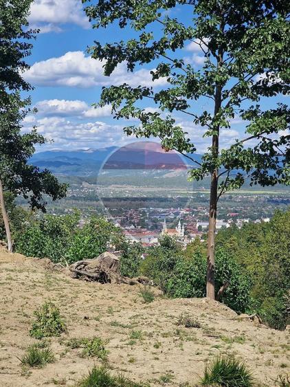 Casă cu 3 camere cu Teren 6000 Mp în Central