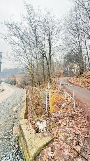Teren intravilan de 24880 mp, în Griviței