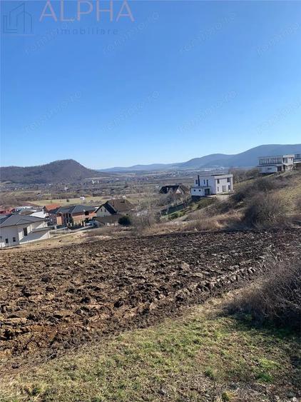 Teren de 1700 mp, în Viișoara