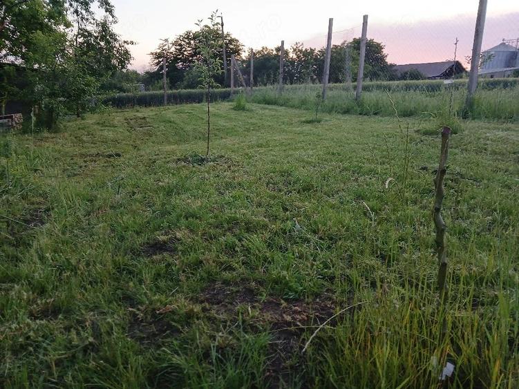 Casă cu 6 camere cu Teren 1600 Mp în Siliștea