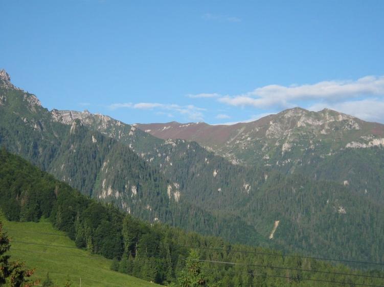 Teren Construcții intravilan de 2100 mp, în Caragiale