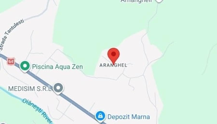 Teren Construcții intravilan de 3900 mp, în Aranghel