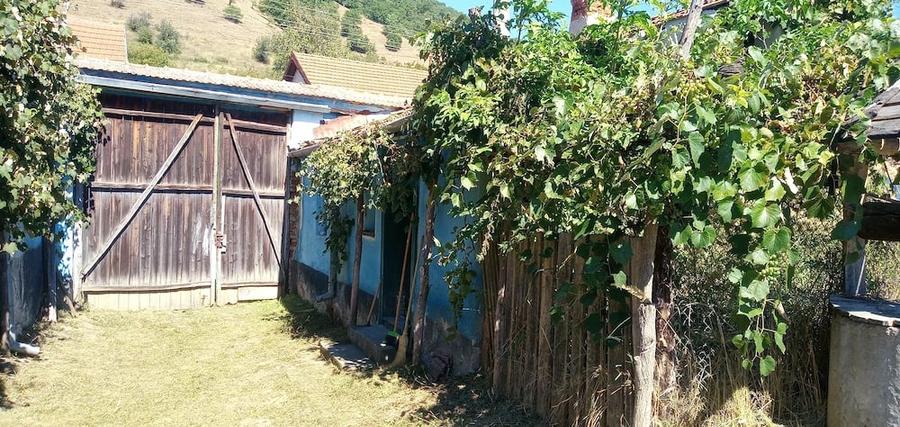 Casă cu Teren 3000 Mp în Șalcău