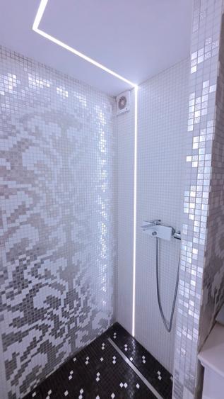 Casă individuală cu 9 camere cu Piscina în Iancu Nicolae