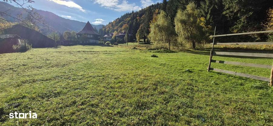 Teren de 4096 mp, în Tarcău