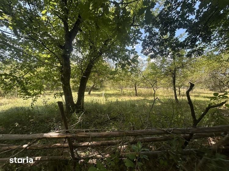 Teren de 7287 mp, în Pietroșani