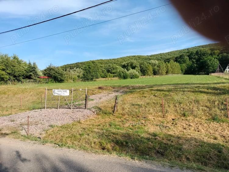 Teren de 5100 mp, în Lisnău