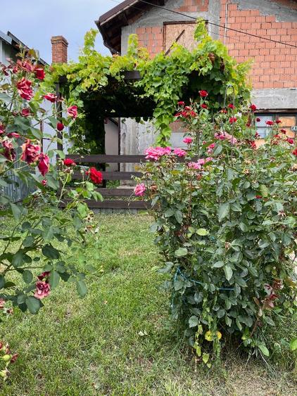 Casă individuală cu 5 camere cu Teren 690 Mp în Slobozia Moară