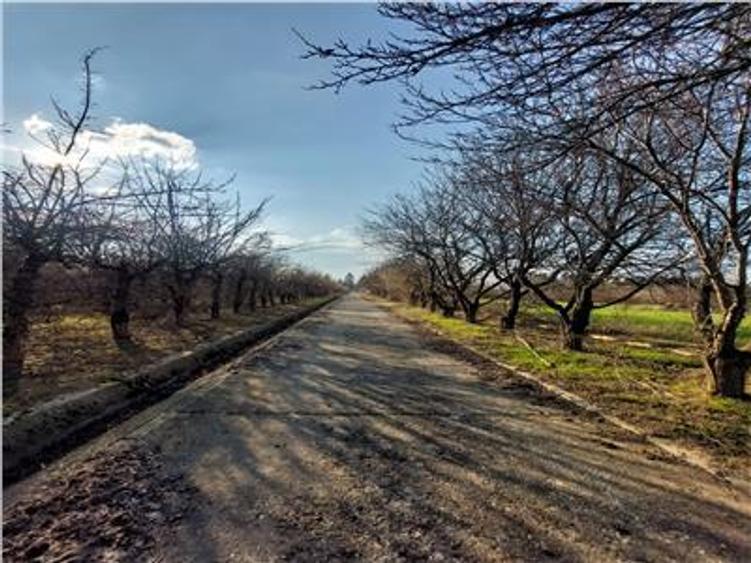Teren Construcții intravilan de 330000 mp, în Est