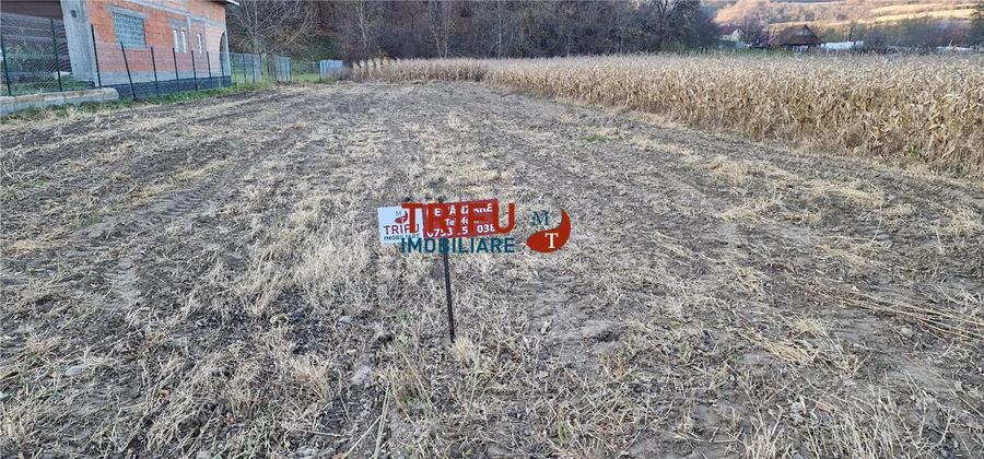 Teren Construcții intravilan de 1000 mp, în Ampoița