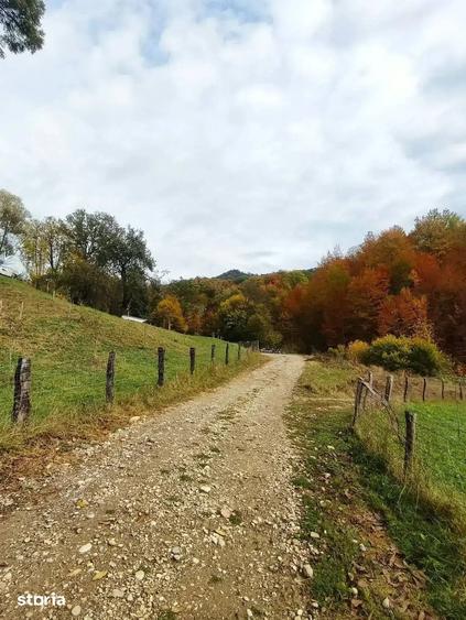 Teren de 2500 mp, în Vișinești