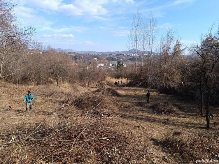Teren de 4200 mp, în Poiana