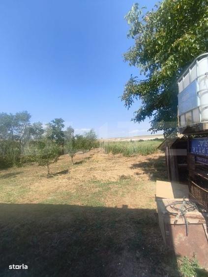 Casă cu 3 camere cu Teren 584 Mp în Central