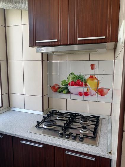 Apartament cu 2 camere decomandat în Viile