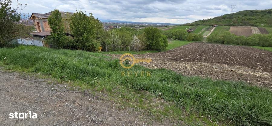Teren de 2500 mp, în Gușterița