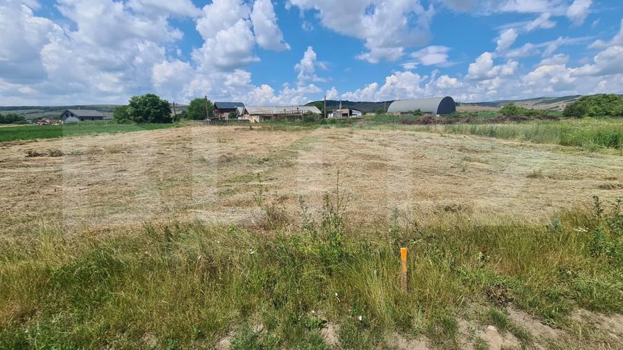 Teren agricol intravilan de 3600 mp, în Jucu de Mijloc