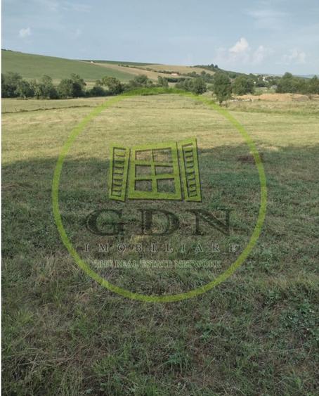 Teren agricol extravilan de 1000 mp, în Rusciori