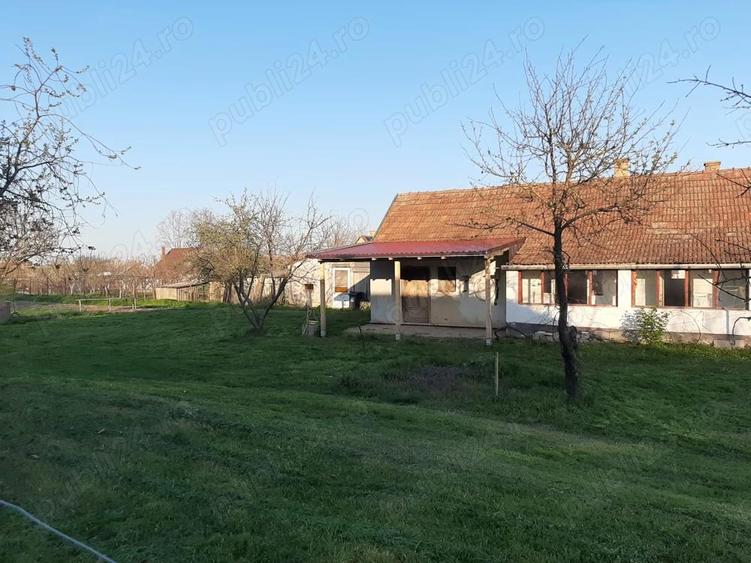 Casă cu 2 camere cu Teren 2000 Mp în Central