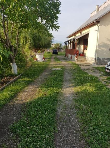 Casă cu 7 camere cu Teren 1450 Mp în Stupini