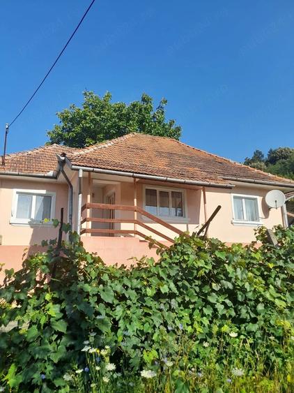 Casă cu 4 camere cu Teren 3500 Mp în Blahnița de Sus