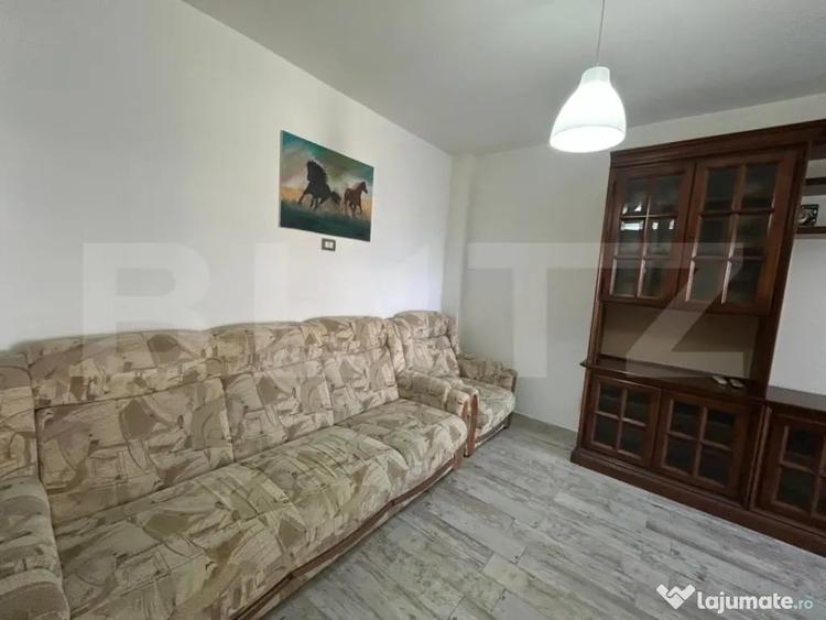 Apartament cu 2 camere nedecomandat în Europa