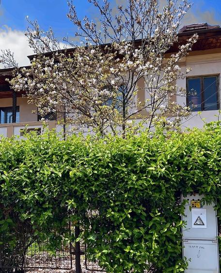 Casă individuală cu 8 camere cu Teren 687 Mp în Mihai Bravu