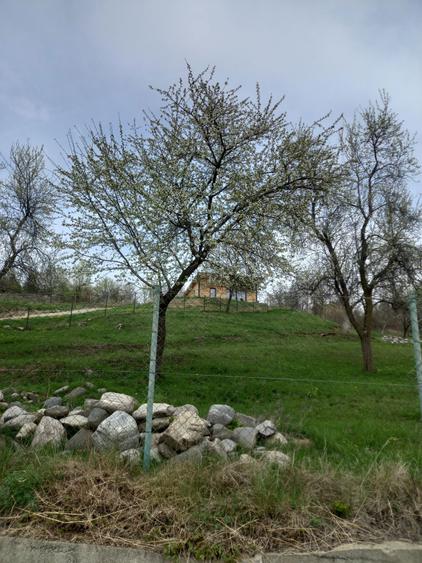 Teren de 3000 mp, în Căpățânenii Pământeni