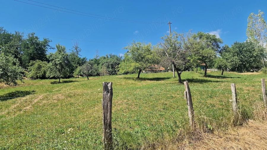 Teren de 16200 mp, în Rudeni (Șuici)
