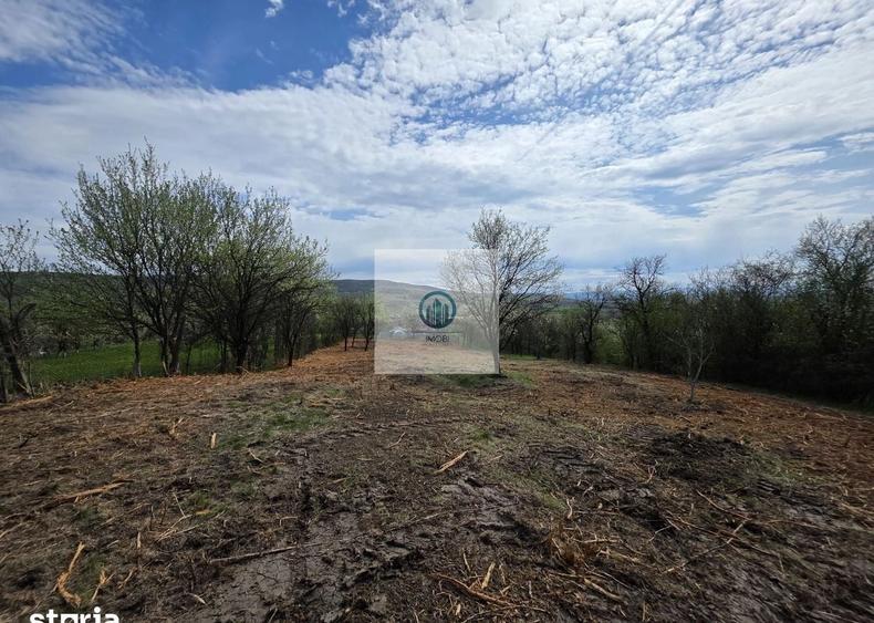 Teren agricol extravilan de 6704 mp, în Hărău