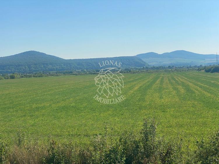 Teren agricol extravilan de 3000 mp, în Șieu-Măgheruș