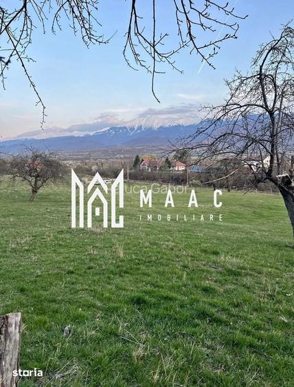 Teren extravilan de vanzare | Talmaciu | 6.000 mp