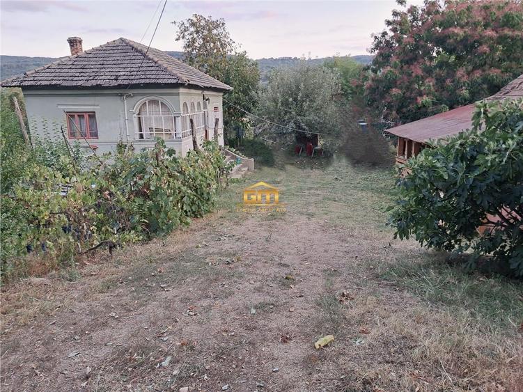 Casă individuală cu 3 camere cu Teren 1150 Mp în Nicolae Bălcescu