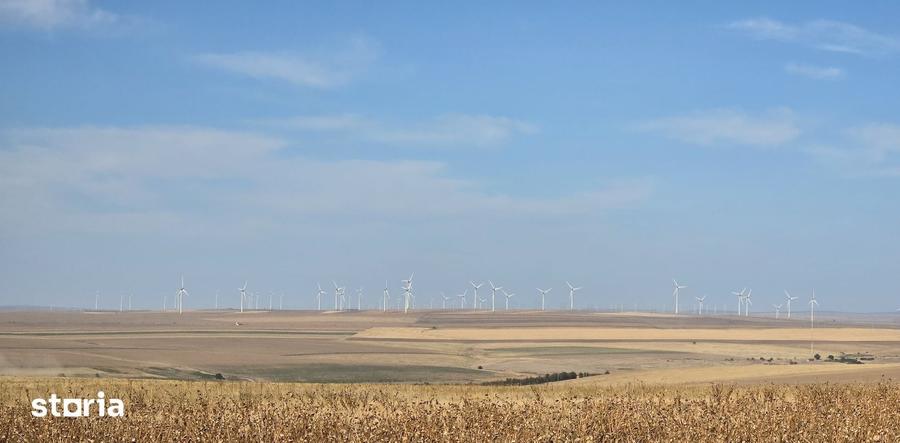 Teren de 590000 mp, în Saraiu